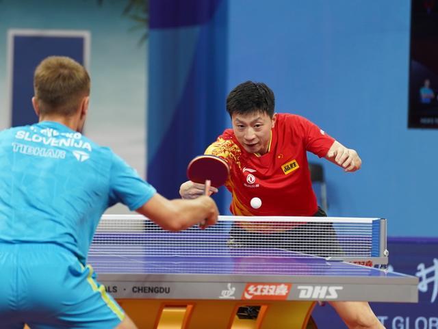 细致观察对 细致观察对