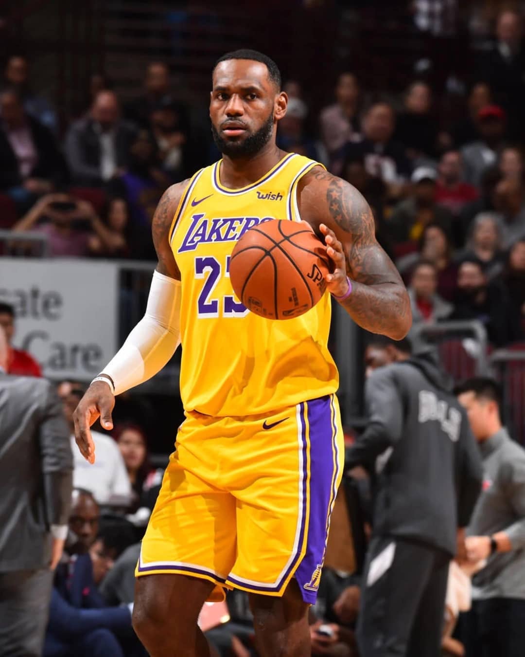 由此可见 由此可见