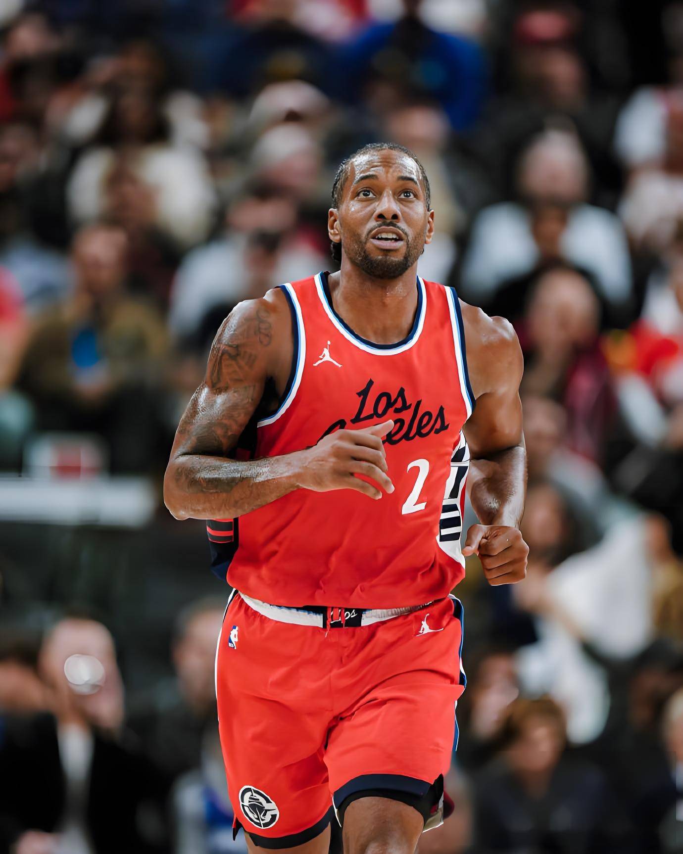 播连结与节 播连结与节